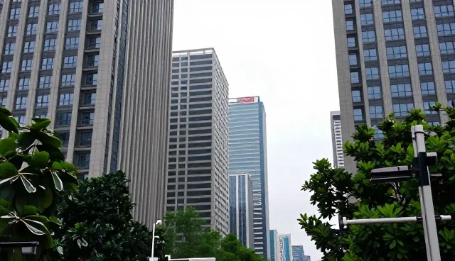 企业信息查询的适用条件有哪些?